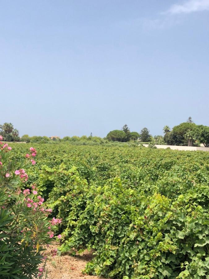 הוילה מרסאלה Stella Marina מראה חיצוני תמונה